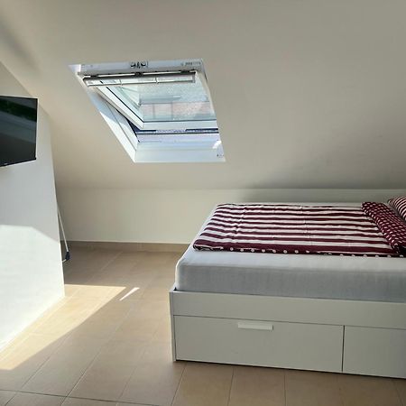 1 Zimmerwohnung In Koblenz Koblenz  Eksteriør billede